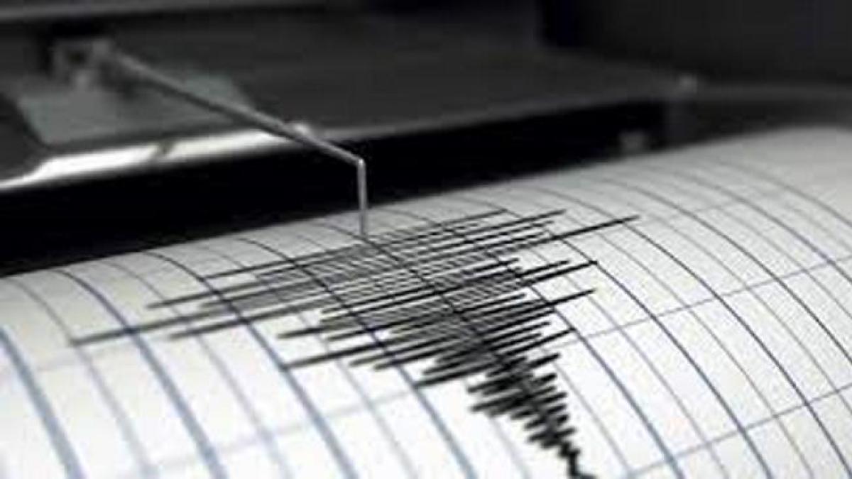 “Five earthquakes shook India on Tuesday, where Vice President Raquel Peña is based.”  Daily menu