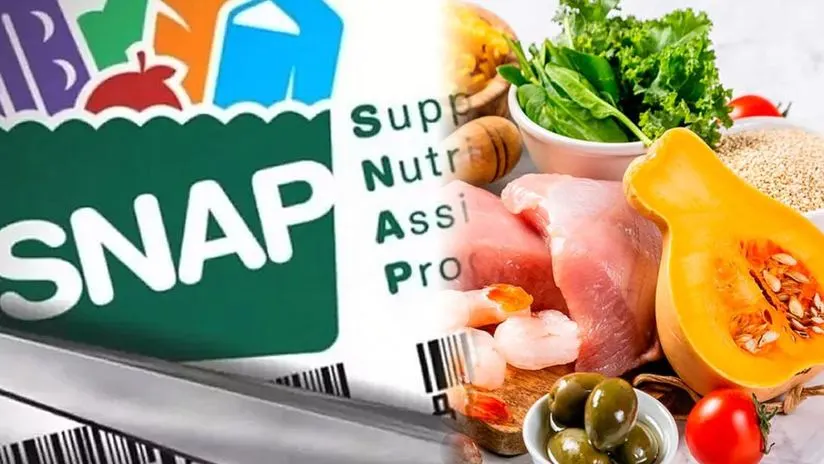 Benefits SNAP Brings Coupons up to U$D 3,487 for Next Few Days: Any For You?  |  America 2024
