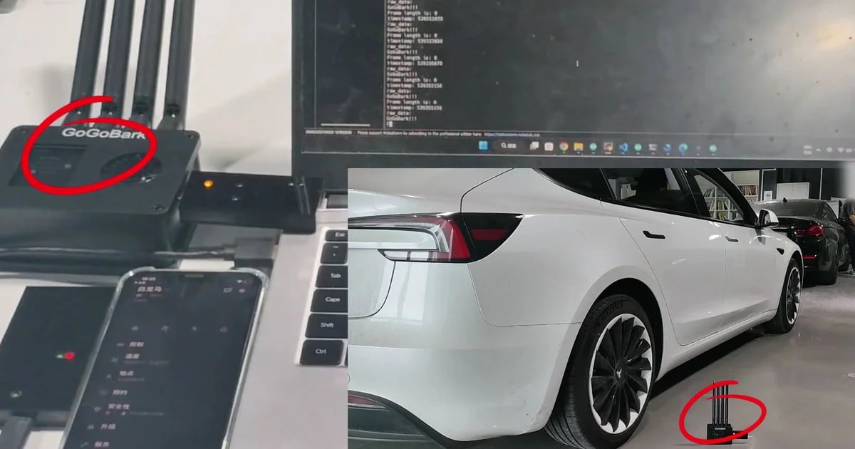 This is how thieves easily steal luxury Tesla models