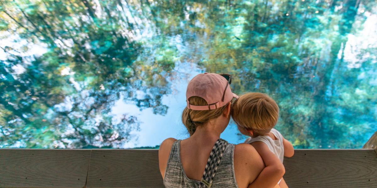 Ron DeSantis announces free proposals for Memorial Day in Florida