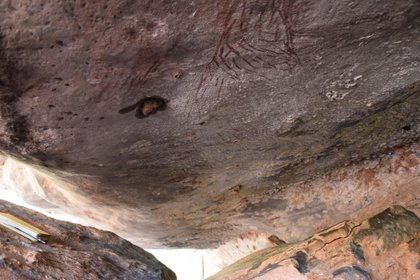 The two-meter high kangaroo has been identified as the oldest intact rock painting in Australia, and is estimated to be 17,300 years old, the scientific journal Nature Human Behavior published Monday.  Pictured is the bottom of the painting where a 17,300-year-old kangaroo is located (EFE / Nature / Damien Finch)