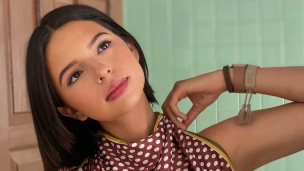 Does Angela Aguilar own this private plane?  This is what we know: the photos