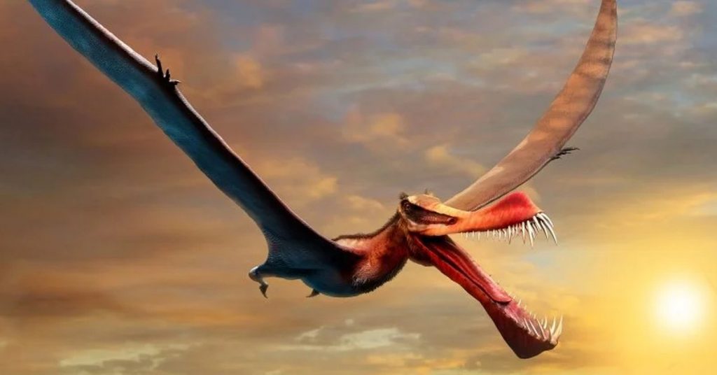 They found the remains of a terrifying "flying dragon", the largest pterodactyl in ancient Australia