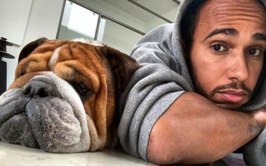 Hamilton is being sued for making his dog a vegetarian;  I can go to jail