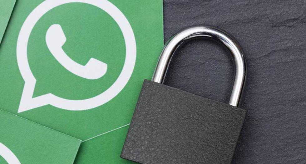 WhatsApp: Can Google Spy on My Chats?  |  Applications |  Mobile phones |  Tutorial |  technology |  viral |  nda |  nnni |  SPORTS-PLAY
