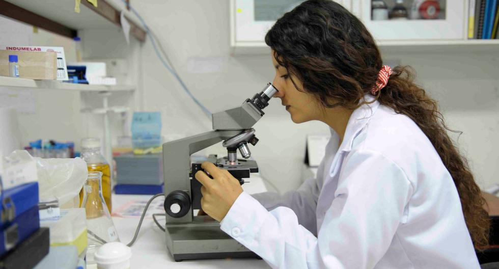 Scientific researchers compete for the National Prize for "Women in Science 2021" |  technology |  Peru