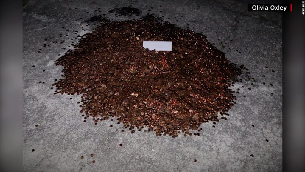 They sued him after dumping 220 kilograms of coins at the home of a former employee