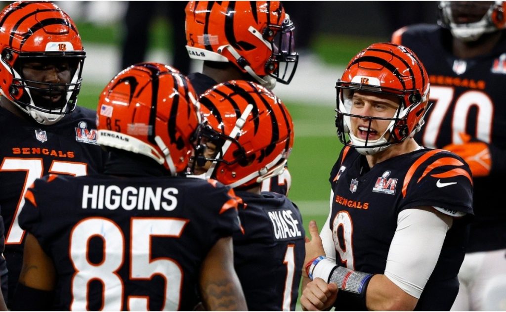 The data that confirms the defeat of Joe Borough and the Cincinnati Bengals
