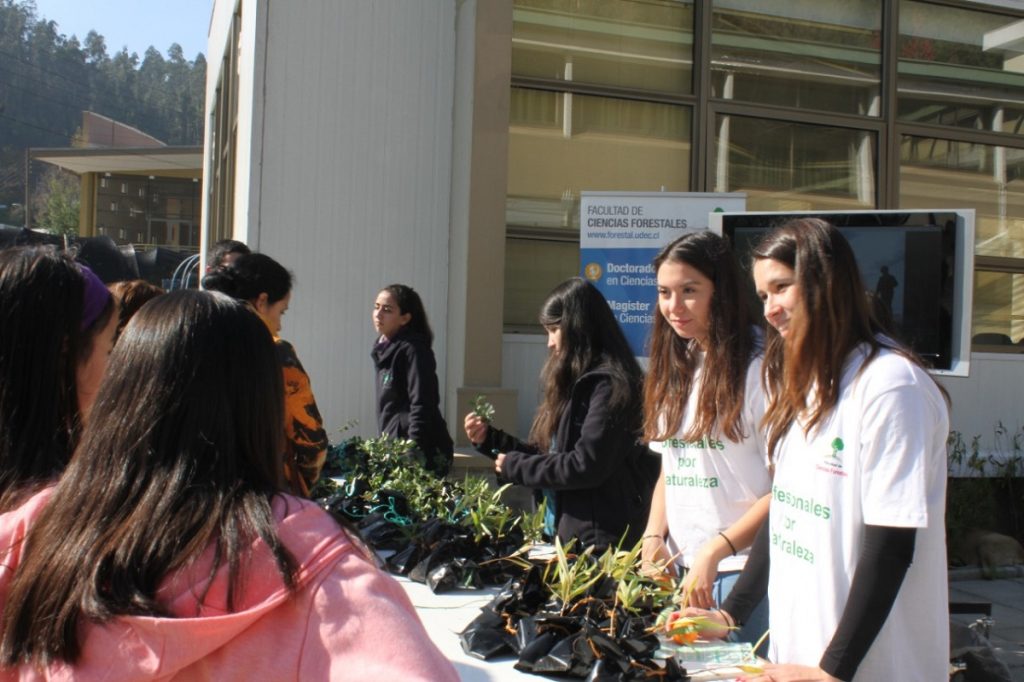 UdeC College of Forestry Sciences will award more than 1,500 native tree plants