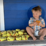 2-year-old orders 31 hamburgers in the US on his mom’s phone