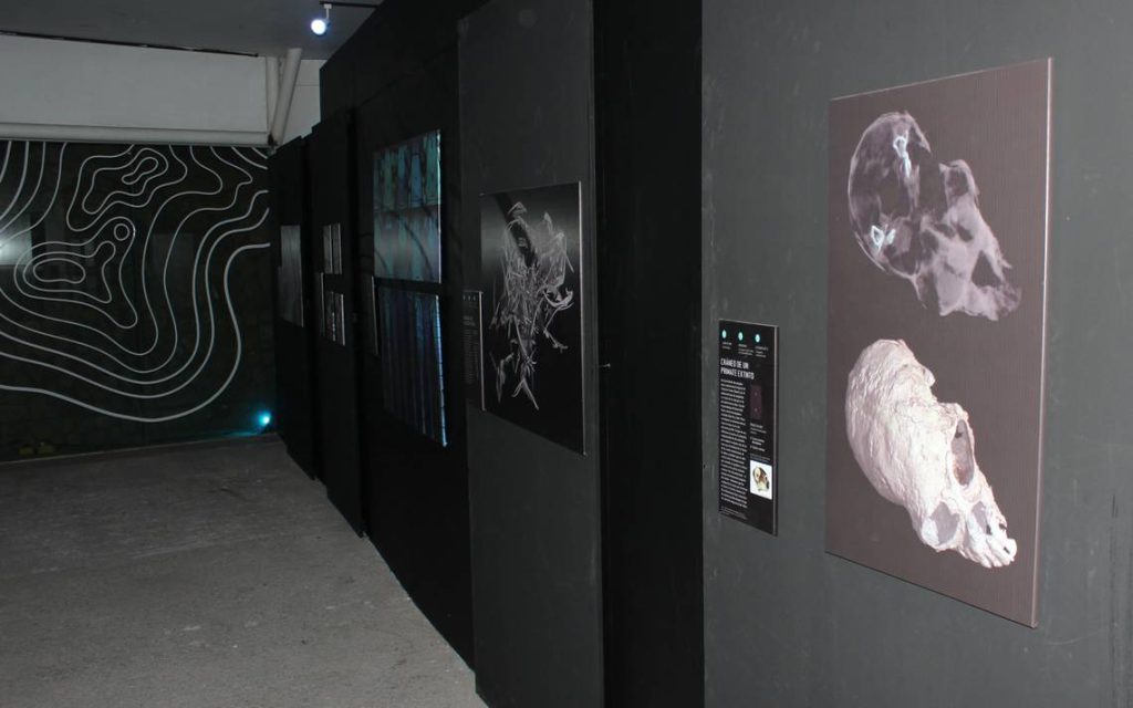 "Capture the Science" at the Discover Museum - El Sol del Centro