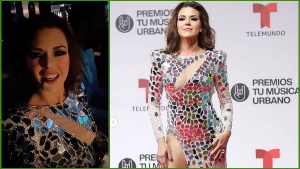 Alicia Machado turns up the heat in a stunning bodycon dress with mirrors |  video