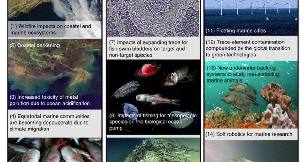 Science.  Fifteen looming threats to marine and coastal biodiversity - Publimetro México