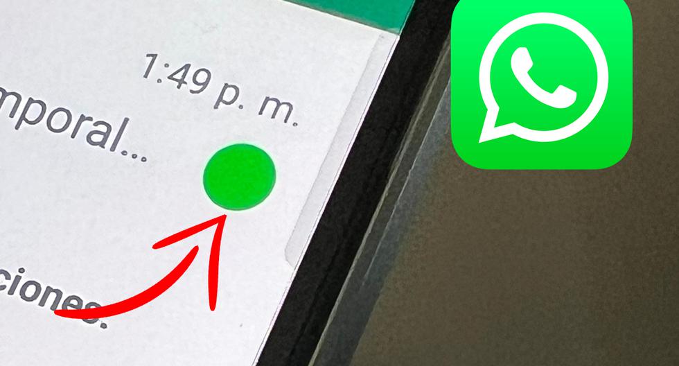 WhatsApp |  What does the green dot next to your conversations mean |  Smart phones |  Mobile phones |  Android |  Applications |  nda |  nnni |  sports game