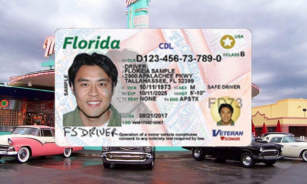 Are you an Immigrant in Florida?  Learn how to apply for a driving license