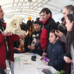 Los Lagos Science Festival invites you to celebrate knowledge about water