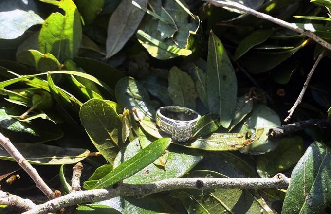 El anillo de boda que el huracán Ian regresó a su dueña