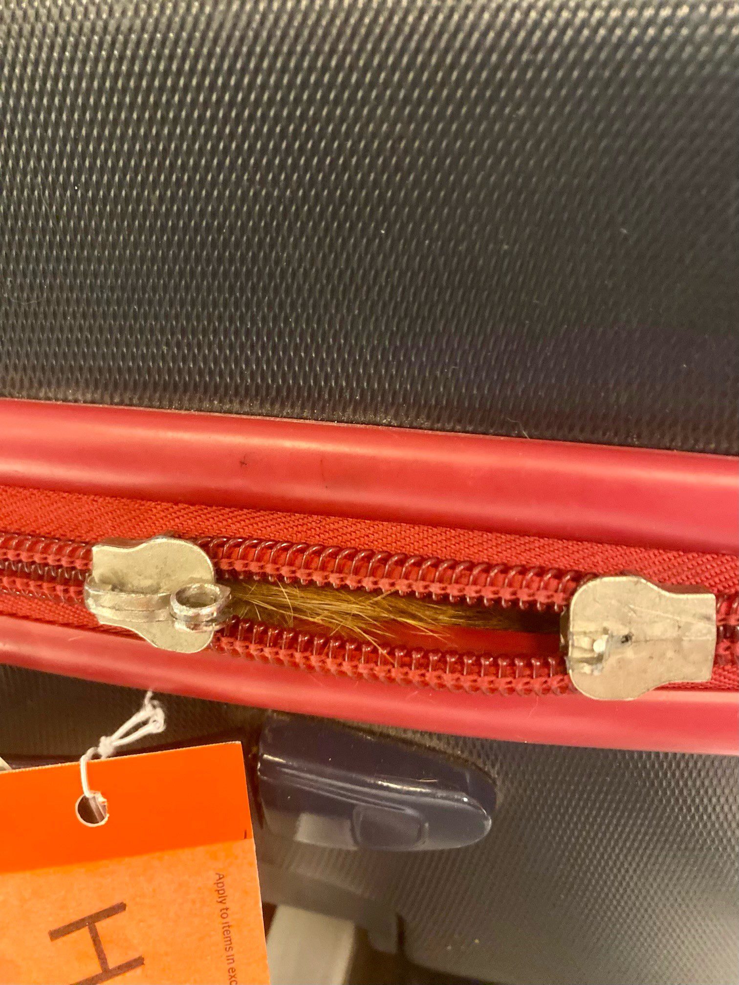 A picture of an orange hair sticking out of a suitcase.