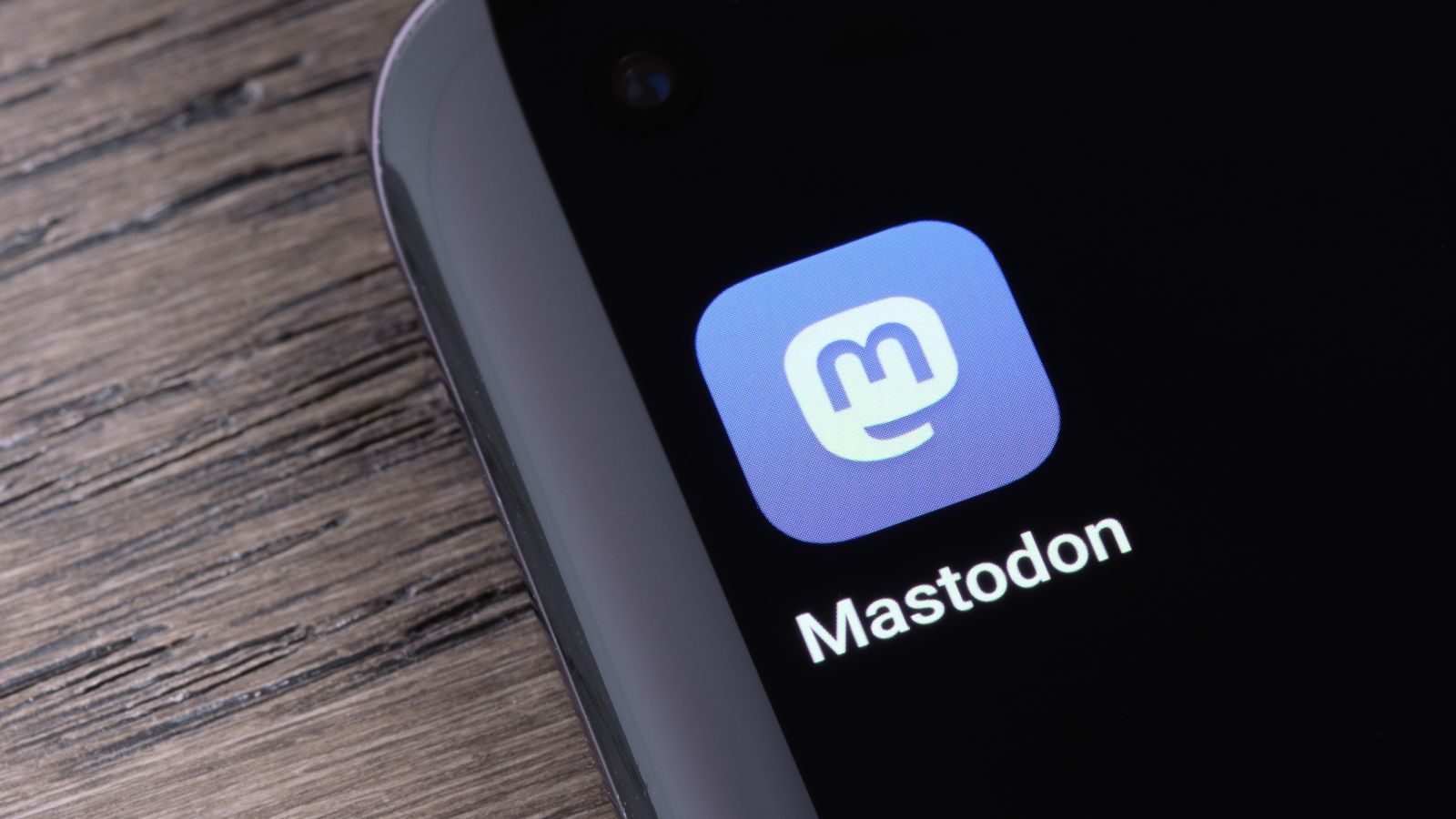Mastodon Social Network.