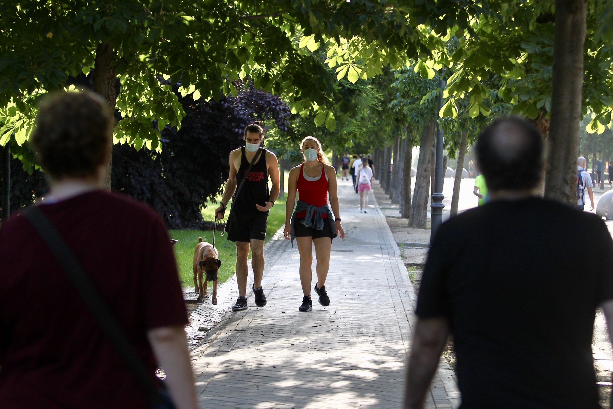 A couple walks their dog inside Retiro Park, one of 19 large green spaces that have opened their doors, as Madrid enters the first phase of the coronavirus escalation.