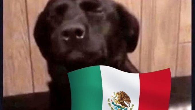 The best memes in the duel between the Mexican national team and Saudi Arabia