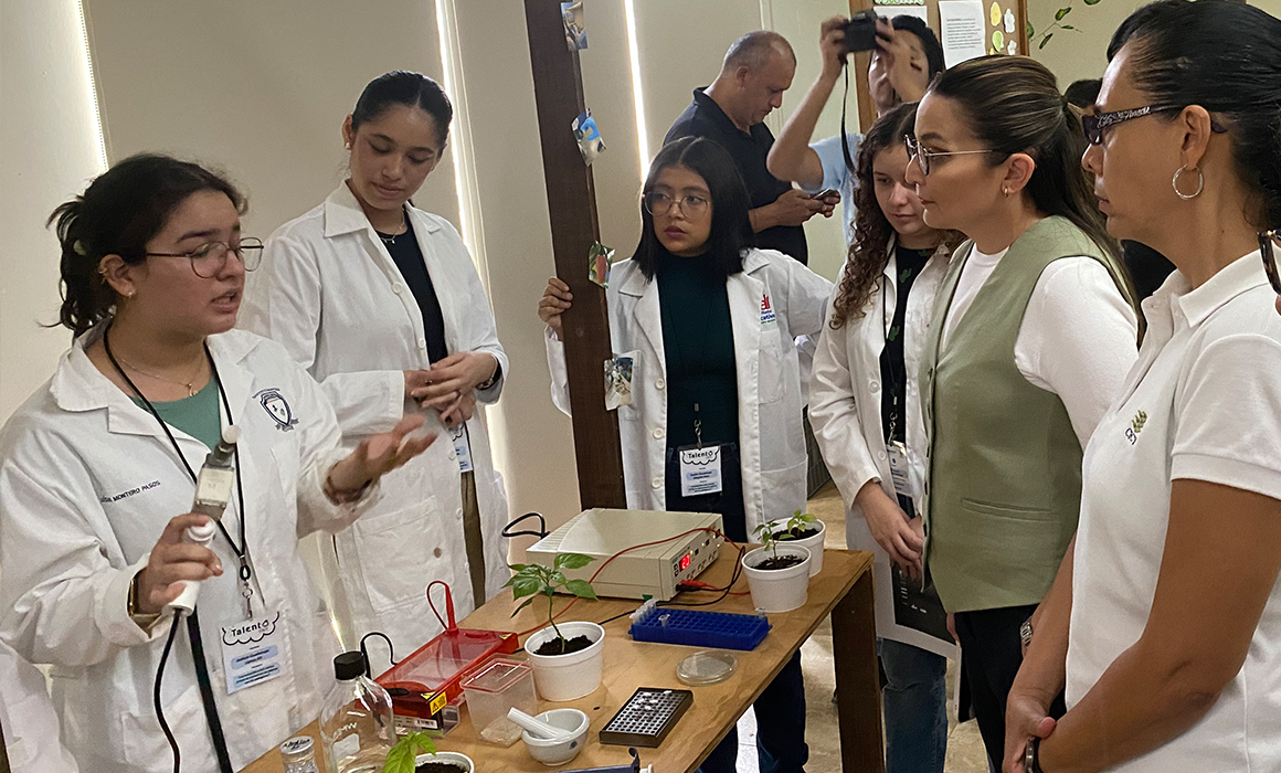 CICY Talent Science Fair held